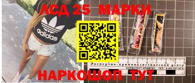 МДПВ Сланцы